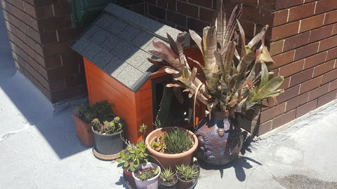 Orange Grove Hotel - Newcastle Accommodation 0