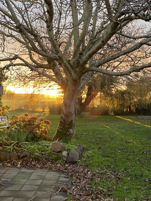 Peg Cottage - Newcastle Accommodation 0