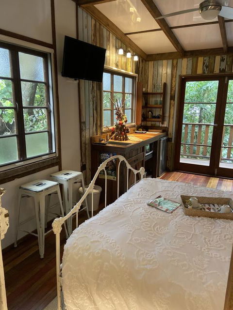 Rain Forest Gem - Newcastle Accommodation 3