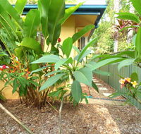 Rainforest Cottage Cairns - New Castle Tourism