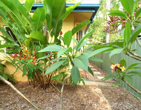 Rainforest Cottage Cairns - New Castle Tourism 0