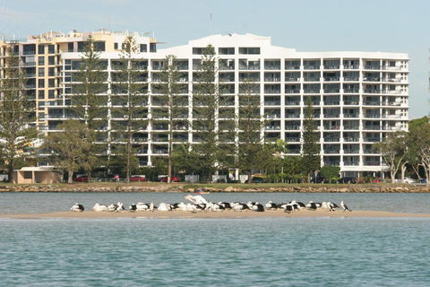 Ramada Golden Beach Unit 506 - New Castle Tourism 1