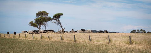 SALT - 37 Oceanview Drive - New Castle Tourism 2