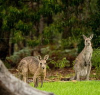 Secura Lifestyle Countryside Kalaru - Newcastle Accommodation