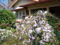 Book Katoomba Accommodation Vacations New Castle Tourism New Castle Tourism