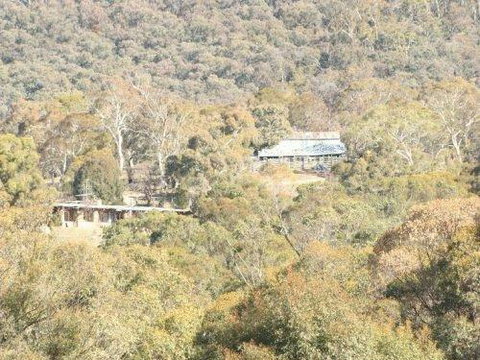 Snowy Wilderness - Newcastle Accommodation 1