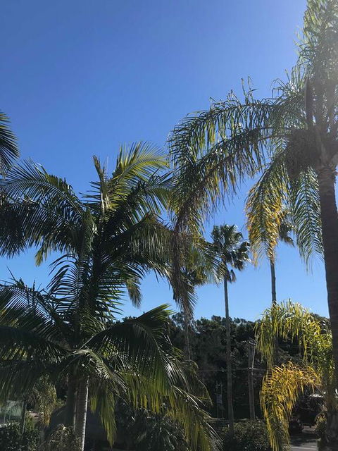 Terrigal Pacific Coastal Retreat - Newcastle Accommodation 3