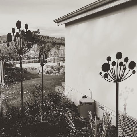 Bridge View Retreat - Newcastle Accommodation 3