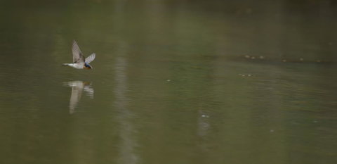 Naivasha Cottage - Newcastle Accommodation 13