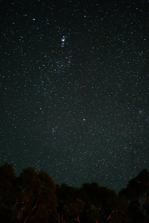 Naivasha Cottage - Newcastle Accommodation 14