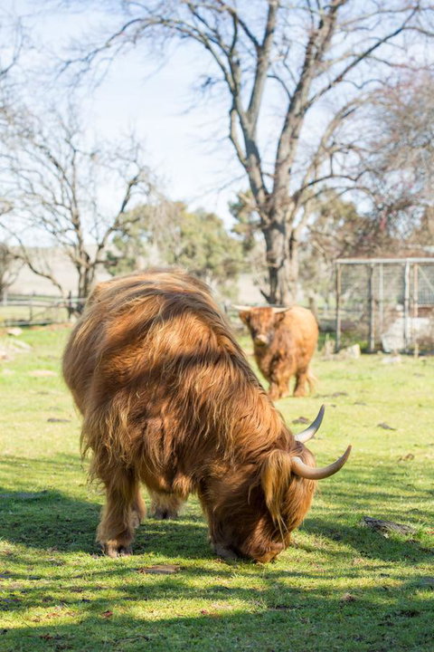 Ratho Farm - Newcastle Accommodation 4