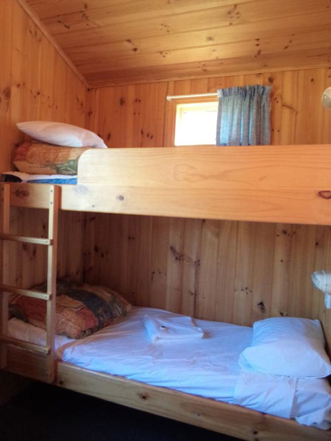 Bicheno East Coast Holiday Park - New Castle Tourism 35