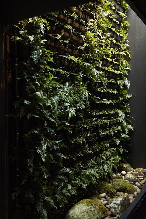 Moss Hotel - Newcastle Accommodation 2