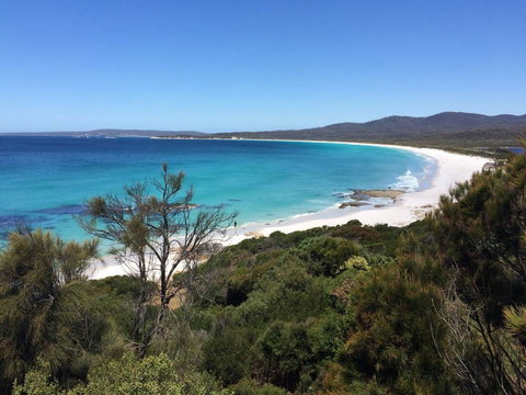 Holland House Bay Of Fires - Newcastle Accommodation 15