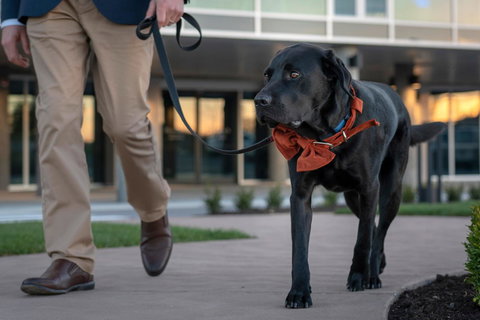 Peppers Silo - Newcastle Accommodation 44