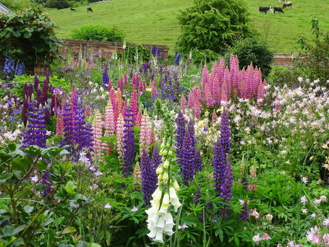 Old WesleyDale Heritage Accommodation - Newcastle Accommodation 1
