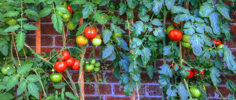 Old WesleyDale Heritage Accommodation - Newcastle Accommodation 8