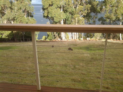 Marinavisage - Newcastle Accommodation 20