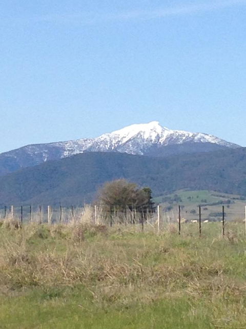 High Country Holiday Park - Newcastle Accommodation 34