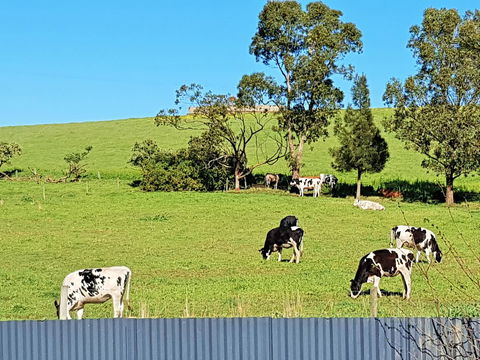 Coragulac House Cottages - New Castle Tourism 22