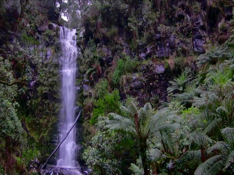 Great Ocean Road Resort - Newcastle Accommodation 16