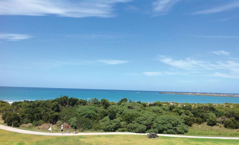 Apollo Bay Waterfront Motor Inn - Newcastle Accommodation 26