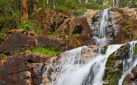 Marysville Caravan And Holiday Park - New Castle Tourism 37