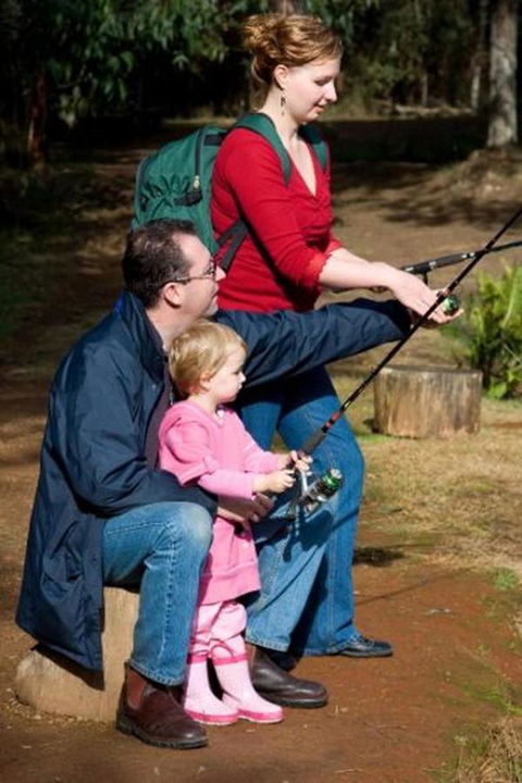Marysville Caravan And Holiday Park - New Castle Tourism 22
