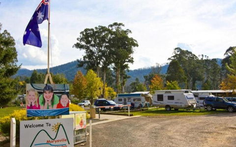 Marysville Caravan And Holiday Park - New Castle Tourism 34