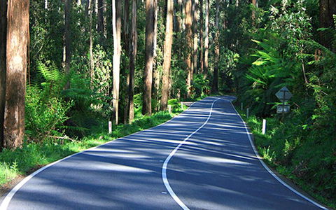 Marysville Caravan And Holiday Park - New Castle Tourism 40