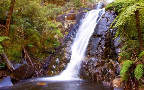 Marysville Caravan And Holiday Park - New Castle Tourism 32