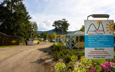 Marysville Caravan And Holiday Park - New Castle Tourism 33
