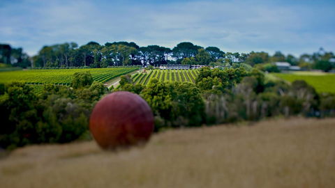 Nautique Beach House - Newcastle Accommodation 25