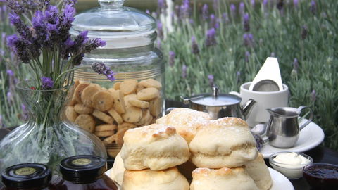 Nautique Beach House - Newcastle Accommodation 16