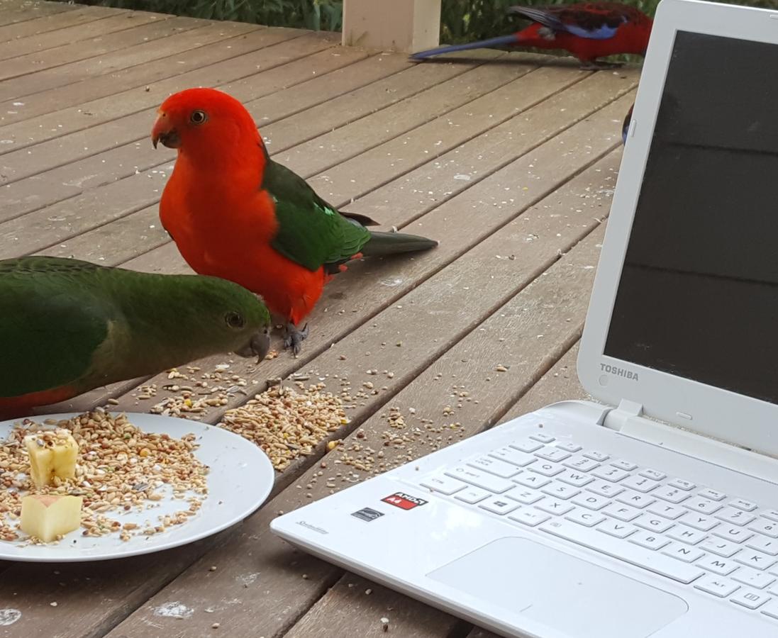  Newcastle Accommodation