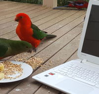 Wilsons Promontory Motel - Newcastle Accommodation