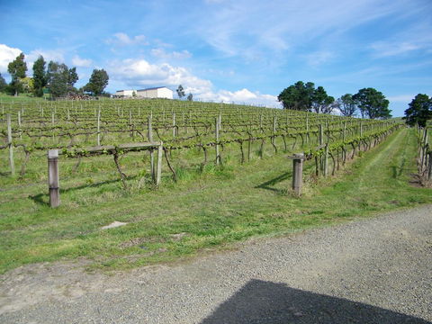 De\'Vine Escape - New Castle Tourism 30