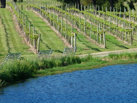De\'Vine Escape - New Castle Tourism 29