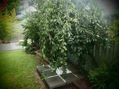 Azen Haven - Newcastle Accommodation 12