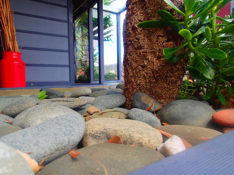 Azen Haven - Newcastle Accommodation 11