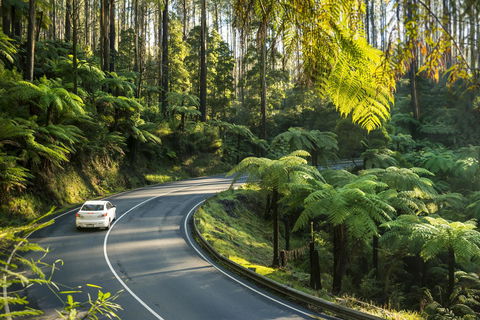 Lithgow Falls Marysville - New Castle Tourism 15