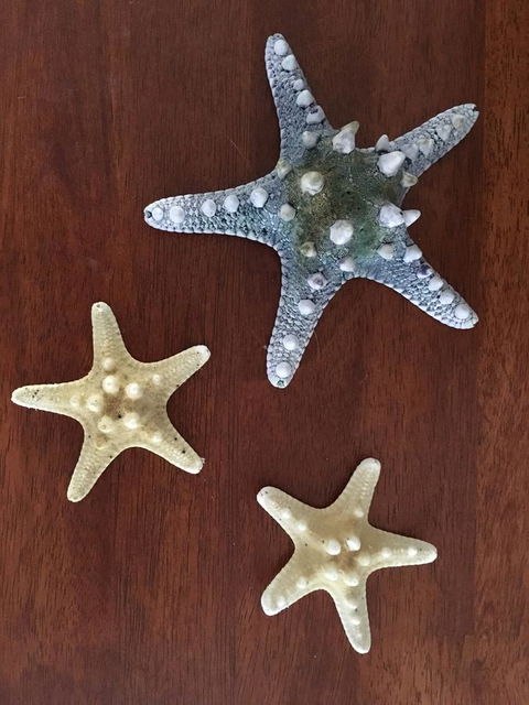 Ocean View Beach House - Newcastle Accommodation 2