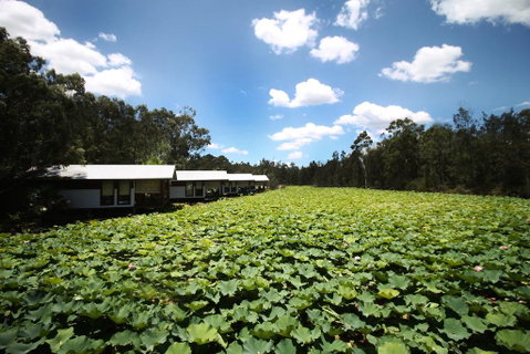 The Boathouses At Leaves & Fishes - Newcastle Accommodation 0