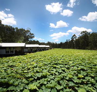 The Boathouses at Leaves  Fishes - Newcastle Accommodation