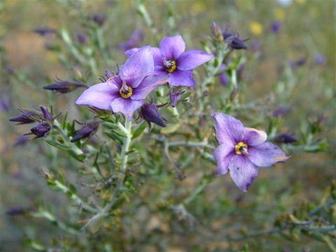 The Coombe On Wilson Inlet - New Castle Tourism 2