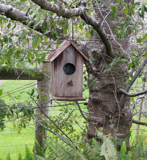 The Little House On The Hill - New Castle Tourism 3