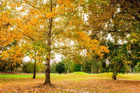 The Retreat At Wisemans - Newcastle Accommodation 1