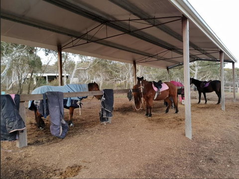 The Saddle Camp Tiny House, Braidwood - Newcastle Accommodation 1