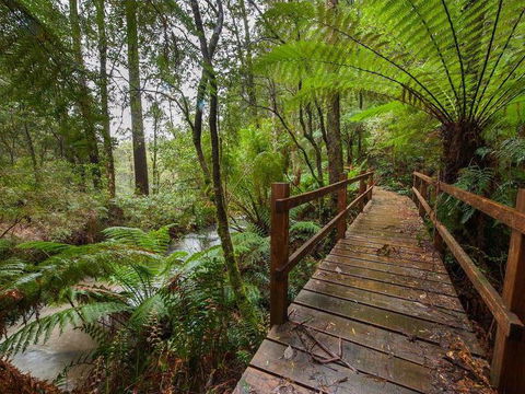 The Source, Otways - New Castle Tourism 0