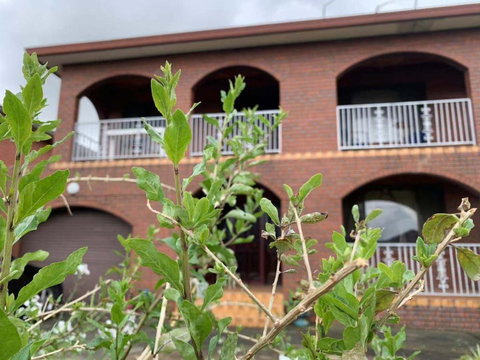 Thomastown Antique House Room 3 - Newcastle Accommodation 1